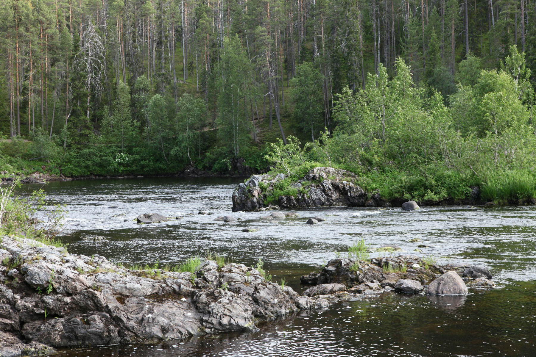 Oulanka National Park